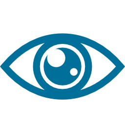 vision256px